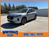 New 2024 Ford Escape ST-Line w/ Tech Pack #1 image 2