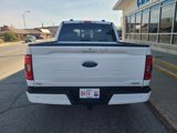 Certified 2022 Ford F150 XLT w/ Equipment Group 302A High image 4