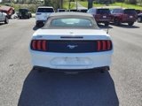 Used 2018 Ford Mustang Premium image 5