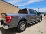 Used 2023 Ford F150 XLT w/ Equipment Group 301A Mid image 5
