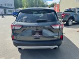 Used 2020 Ford Escape SE image 4