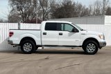 Used 2013 Ford F150 XLT w/ Luxury Equipment Group image 3