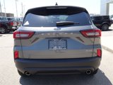 New 2025 Ford Escape ST-Line w/ Tech Pack #1 image 4