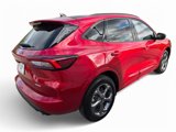 Used 2024 Ford Escape ST-Line image 4