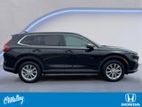 Certified 2025 Honda CR-V EX-L image 6