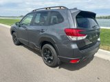 Used 2023 Subaru Forester Wilderness image 6