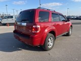 Used 2011 Ford Escape Limited w/ 301A Rapid Spec Order Code image 3