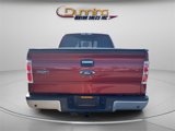Used 2014 Ford F150 XLT w/ Equipment Group 302A Luxury image 3