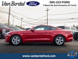 Used 2020 Ford Mustang Coupe image 2