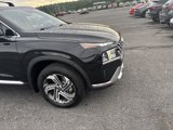 Used 2022 Hyundai Santa Fe SEL w/ Convenience + Premium Package image 4