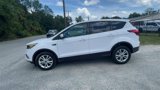 Certified 2019 Ford Escape SE image 5