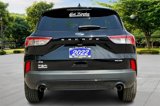 Certified 2022 Ford Escape SE image 4