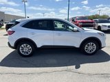 Used 2020 Ford Escape SE image 2