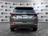 Used 2024 Hyundai Tucson Blue image 4