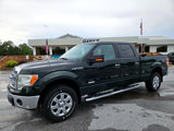 Used 2013 Ford F150 XLT w/ Luxury Equipment Group image 2