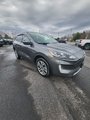 Used 2022 Ford Escape SEL w/ Class II Trailer Tow Package image 2