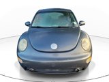 Used 2004 Volkswagen Beetle GLS image 2