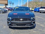 Used 2019 Ford Mustang Premium w/ Equipment Group 201A image 2