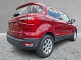 Used 2020 Ford EcoSport SE image 6