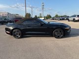 Used 2020 Ford Mustang Premium image 3