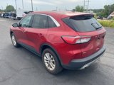 Used 2020 Ford Escape SE image 3
