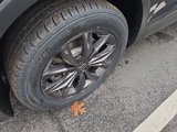 Certified 2022 Volkswagen Tiguan SE w/ Panoramic Sunroof Package image 2