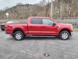 Used 2021 Ford F150 XLT image 6