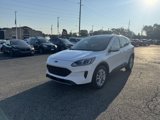 Used 2020 Ford Escape SE image 3