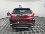 Used 2017 Honda CR-V Touring image 5