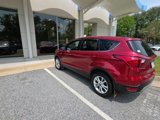Used 2019 Ford Escape SE image 3