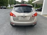 Used 2010 Nissan Murano SL w/ Premium Pkg image 4