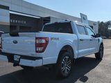 Certified 2023 Ford F150 XL w/ STX Appearance Package image 5