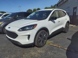 Used 2022 Ford Escape SE image 3