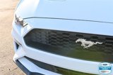 Certified 2023 Ford Mustang Coupe w/ Equipment Group 101A image 4