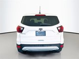 Used 2019 Ford Escape SE image 6