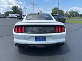Certified 2021 Ford Mustang Coupe w/ Equipment Group 101A image 4
