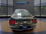 Used 2017 Ford Mustang Premium w/ Ecoboost Performance Package image 3
