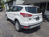 Used 2015 Ford Escape SE w/ Equipment Group 201A image 3