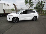 Used 2023 Ford Escape ST-Line image 3