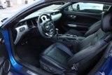 Used 2017 Ford Mustang Premium w/ Equipment Group 201A image 5