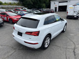 Used 2019 Audi Q5 2.0T Premium w/ Convenience Package image 5