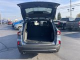 New 2025 Ford Escape ST-Line w/ Tech Pack #1 image 6