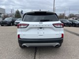 Certified 2022 Ford Escape SEL image 5