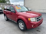 Used 2011 Ford Escape XLT w/ Cargo Pkg image 4