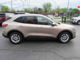 Used 2020 Ford Escape SE image 5