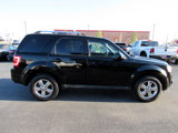 Used 2010 Ford Escape Limited image 6