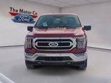 Certified 2021 Ford F150 XLT w/ Equipment Group 302A High image 2