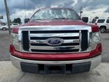 Used 2010 Ford F150 XLT image 3
