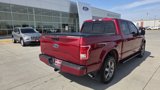 Used 2015 Ford F150 XLT w/ Equipment Group 302A Luxury image 6