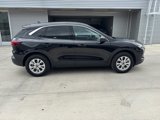 Used 2024 Ford Escape Active image 4